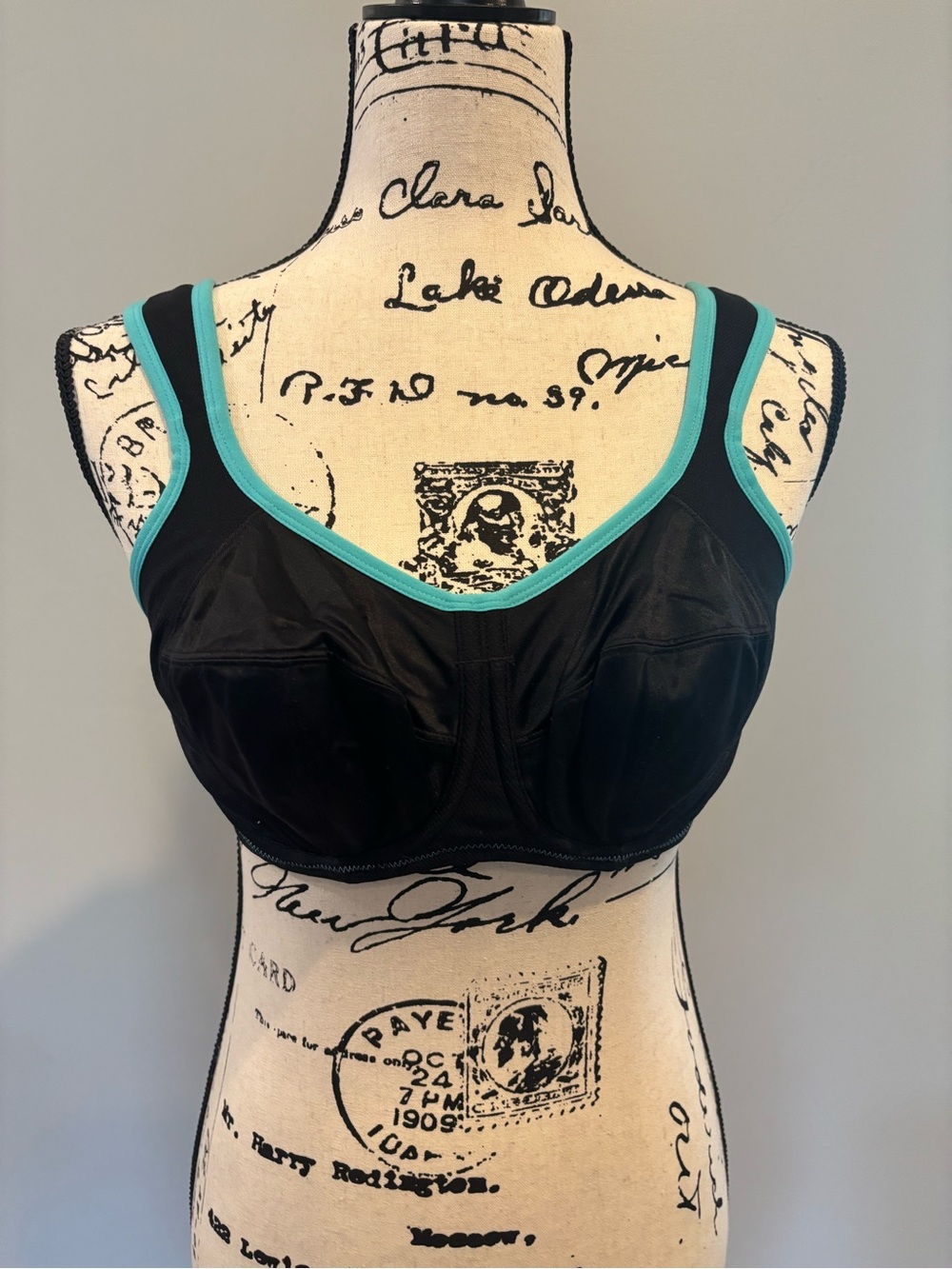 Bravissimo Black Wired Sports Bra with Teal Trim